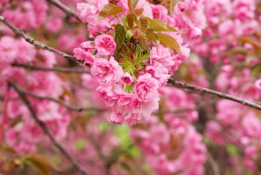 常州武进区5线下个人借款平台一站式服务，轻松解决资金难题