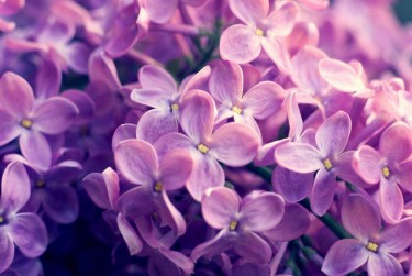 常州武进区5企业急用钱贷款攻略：快速融资解燃眉之急